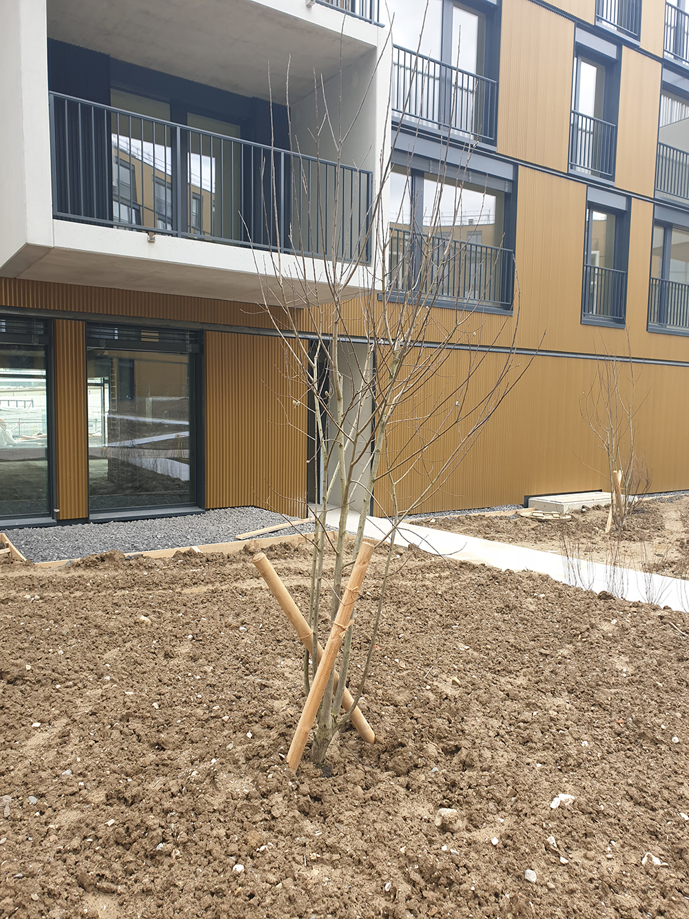 Usine Agroalimentaire NovaFood